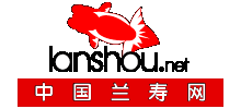 中国兰寿网