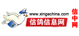 信鸽信息网