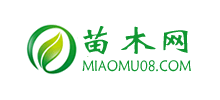 苗木网
