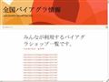 安徽省萧县鹏程中学