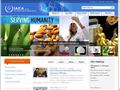 International Atomic Energy Agency(国际原子能机构)