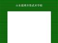 齐鲁武术学校