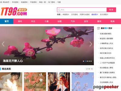 TT98天天导航