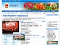 新安政府门户网